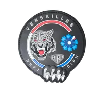 BRI - Versailles - Bleuet De France 