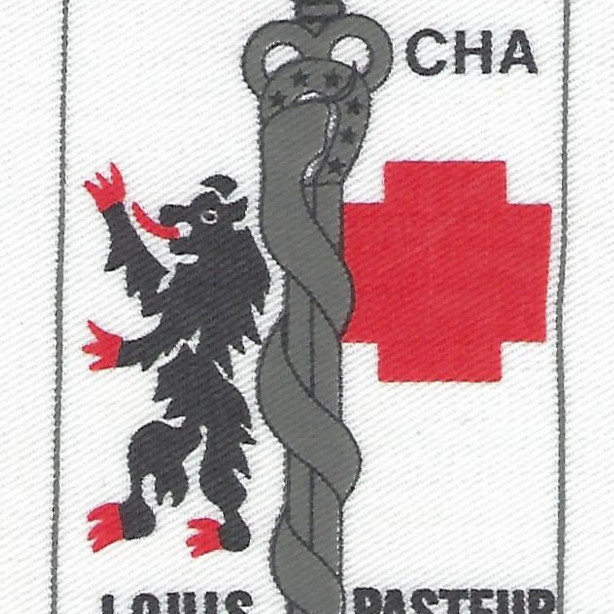 SSA : CHA Louis Pasteur Berlin