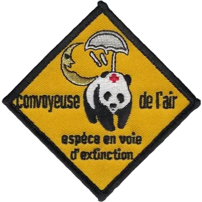 SSA Air : EAS Convoyeuse de l'Air "Espèce en voie d'extinction"
