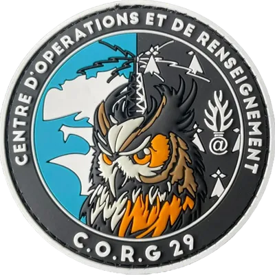 CORG 29