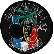 Groupe d'Escadrons 501° Régiment de Chars de Combat - 2° Escadron - 2° Peloton - Opération Licorne