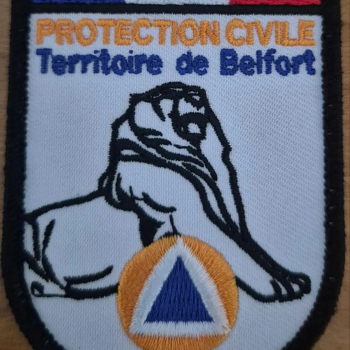 Protection Civile du Territoire de Belfort
