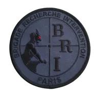 BRI-PP