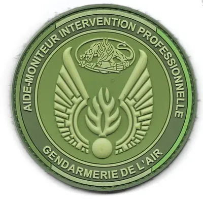GAE - Aide-Moniteur Intervention Professionnelle 