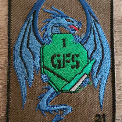 40e RT / 1ere Cie / GFS