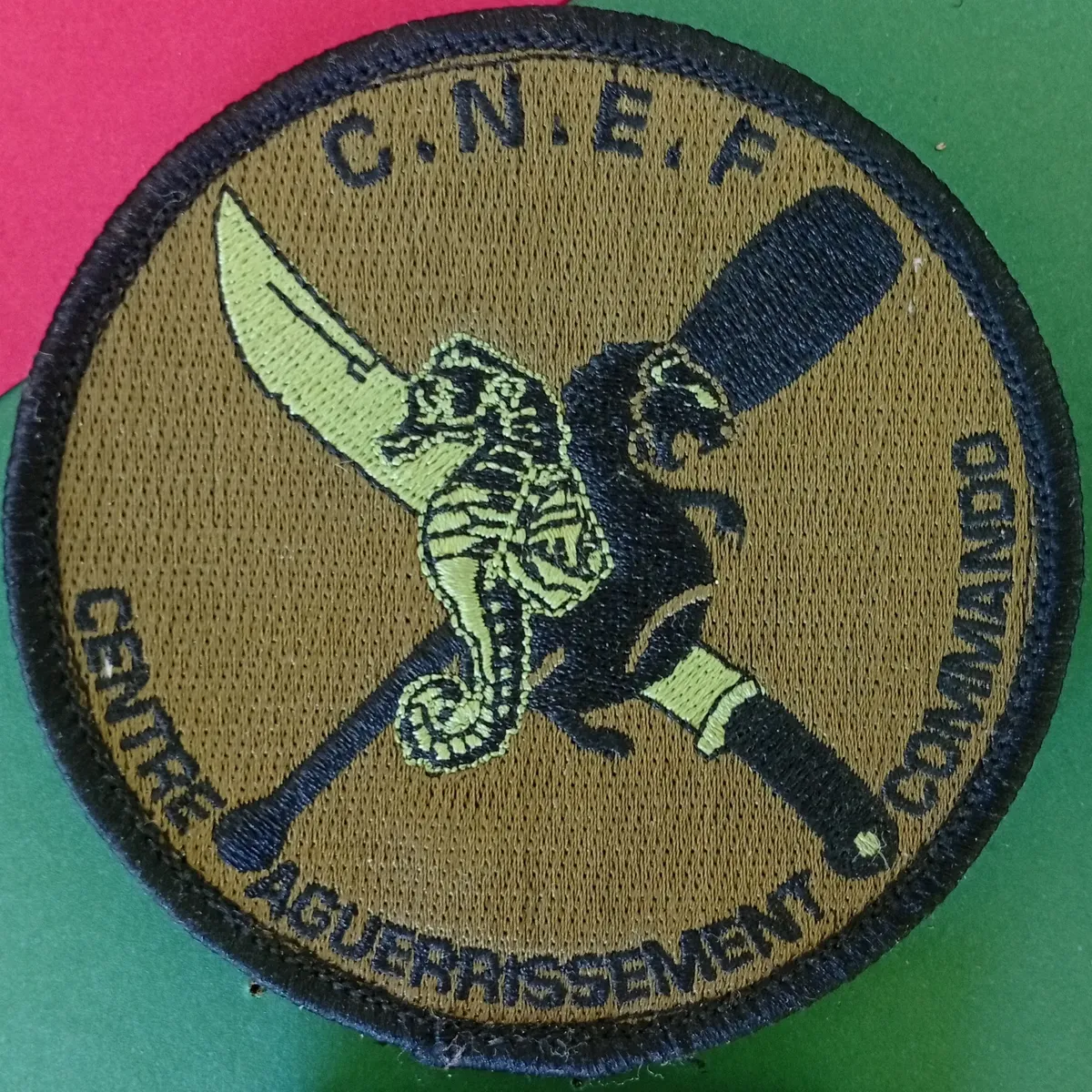 3e REI - CNEF- Centre d Aguerrissement Commando