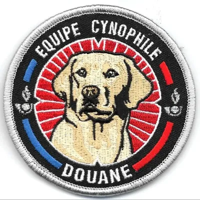 Douane - équipe cynophile -Labrador beige