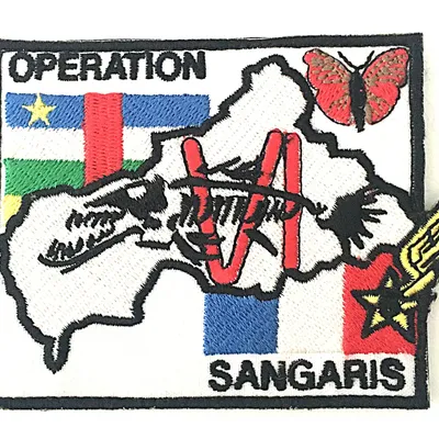 5e RHC - Opération SANGARIS - SGAM BARRACUDA N° 6