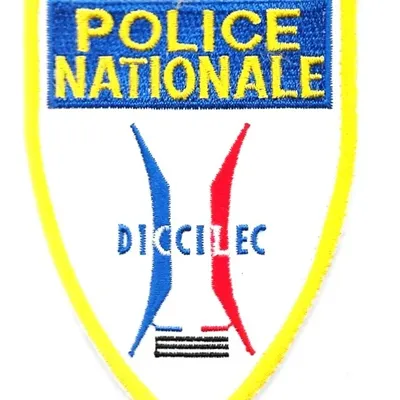 DICCILEC (PAF)