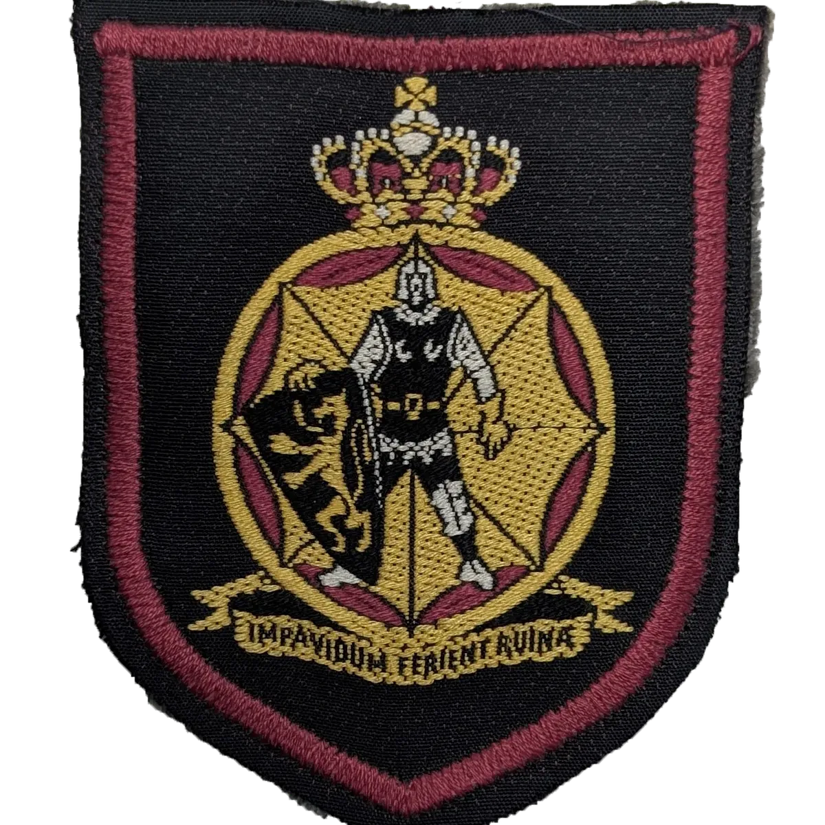 Insigne corps de la Protection civile