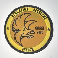 2ème Régiment de Hussards, Opération Barkhane, détachement Faucon