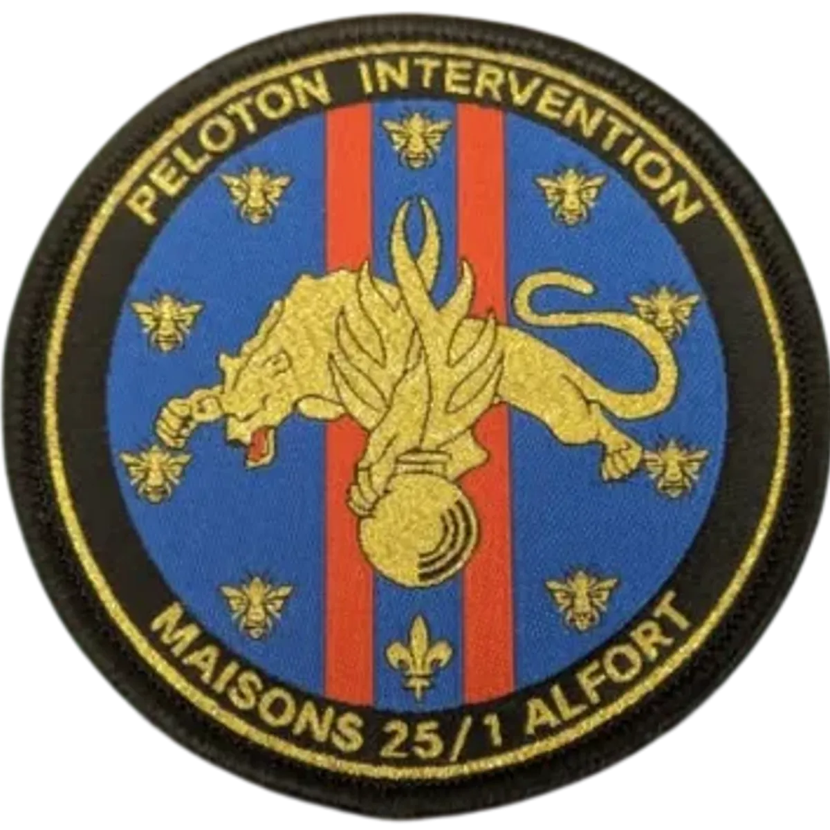 PI EGM 25/1 Maisons-Alfort