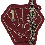SSA : 1er Régiment Médical
