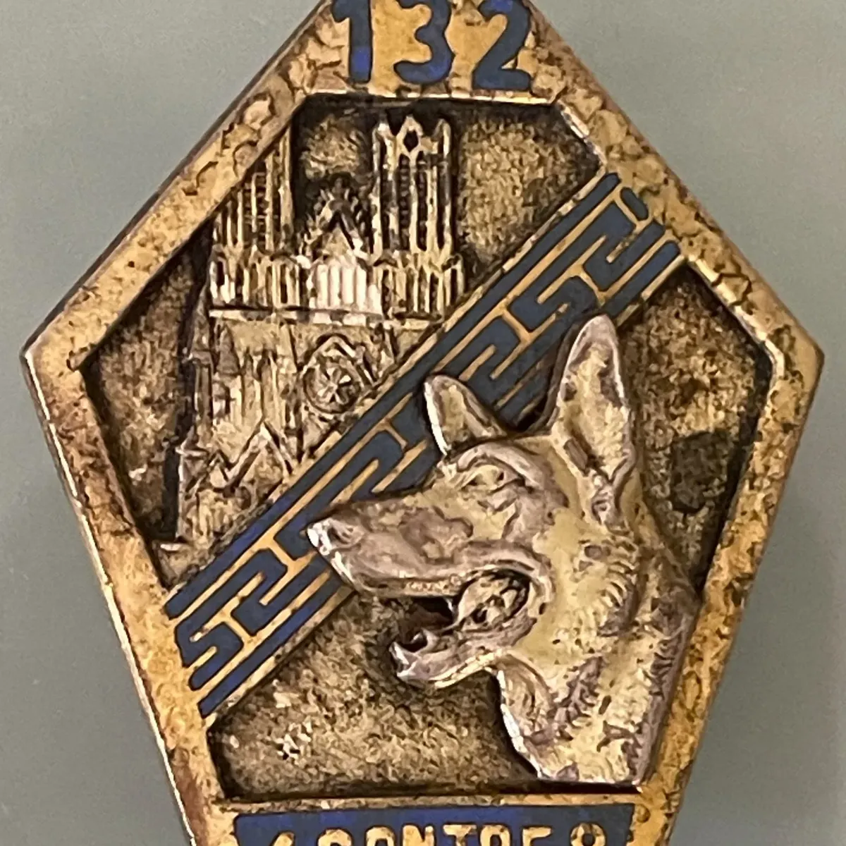 132e Groupe Cynophile, Armée de Terre