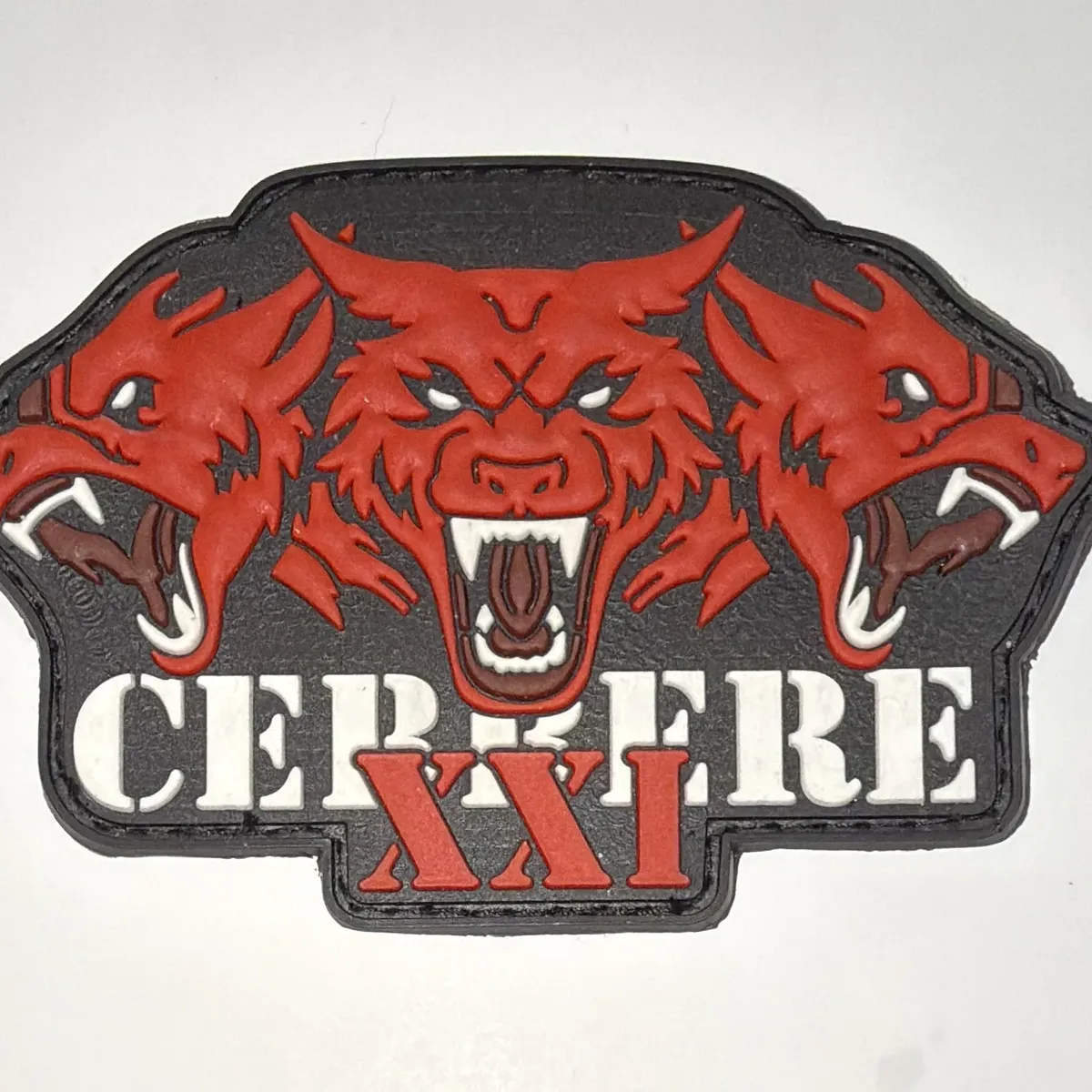 2ème Régiment de Hussards, Opération Barkhane, détachement Cerbère XXI