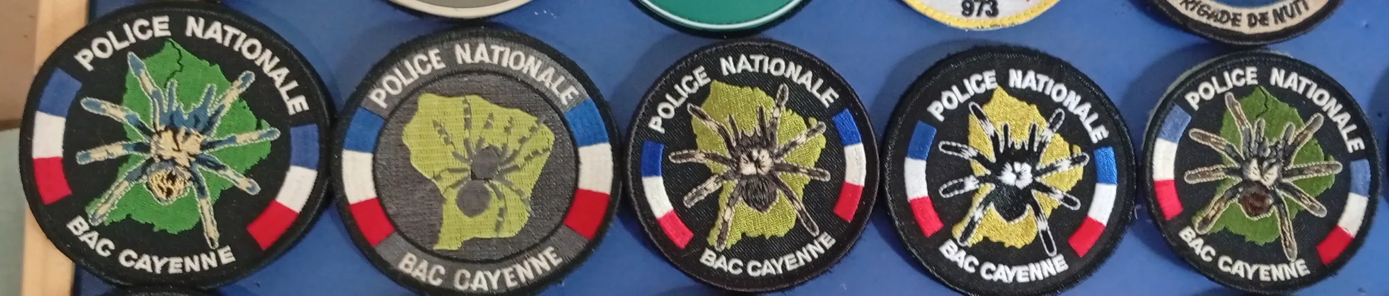 BAC - Cayenne  - 2
