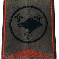 Passant d'épaule du Groupe d'Escadrons 2ème Régiment de Chasseurs - 2ème Escadron (V1)