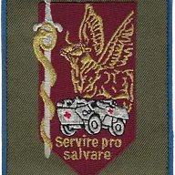 SSA : Régiment Médical Félin type 2 1ère CMC