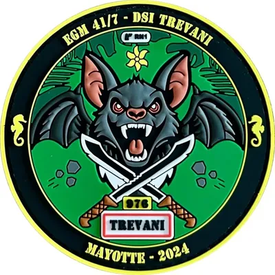 EGM 41/7 Dijon - DSI Trévani Mayotte