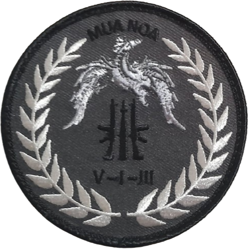 5ème Régiment de Dragons - 1er Escadron - 3ème Peloton - BV