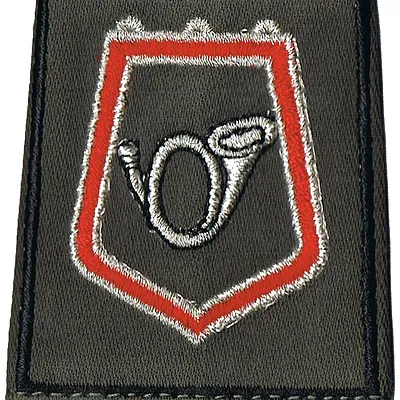 Passant d'épaule du 1er-2ème Régiment de Chasseurs - Escadron de Maintenance Régimentaire (V2)