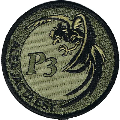 1er Régiment de Chasseurs - 2ème Escadron - 3ème Peloton (BV)
