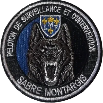 PSIG Sabre - Montargis 