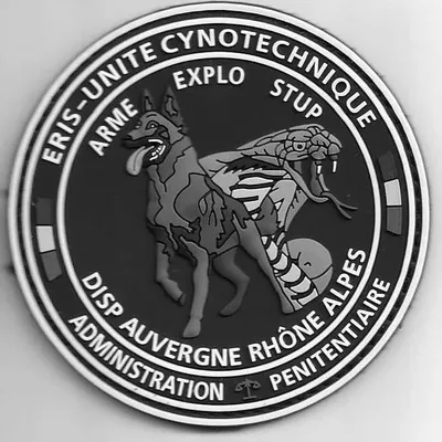 Cynotechnie pénitentiaire - DISP - Lyon