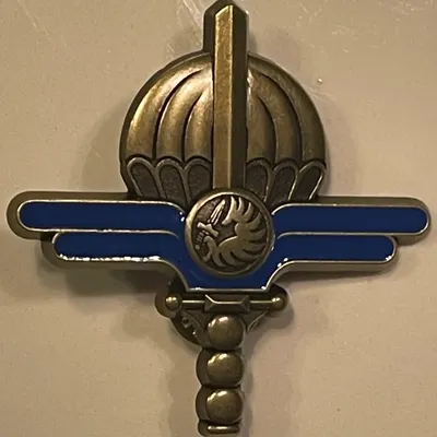 Brevet Maintenance Parachutage Largage, BRONZE