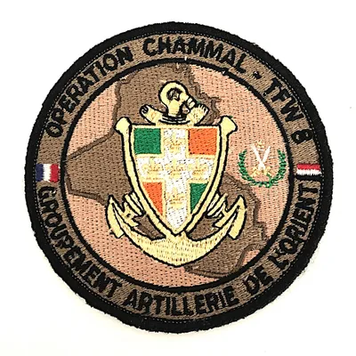 11e RAMa - Opération Chammal - Task Force Wagram 8