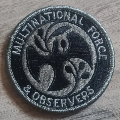 Multinational Force & Observers / Basse visibilité 