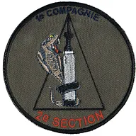 Groupe d'Escadrons 501° Régiment de Chars de Combat - 1° Compagnie - 2° Section