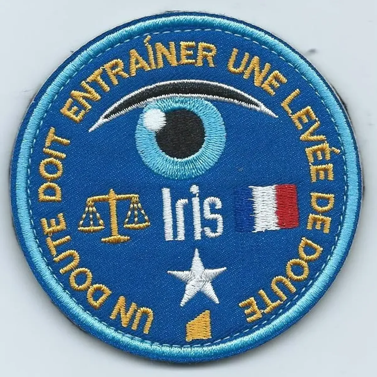 Référent logiciel IRIS