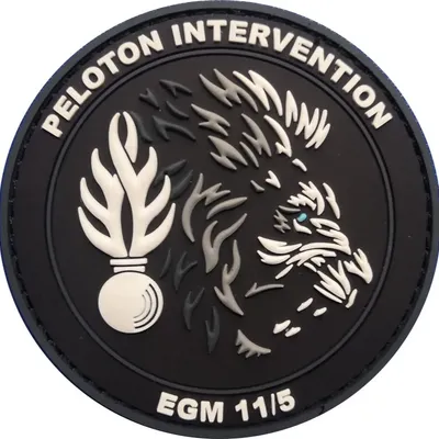 PI EGM 11/5 Sathonay-Camp