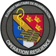 SSA : Elément Militaire de Réanimation Opération Résilience Mulhouse (100mm)