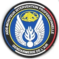 GAE - Aide-Moniteur Intervention Professionnelle