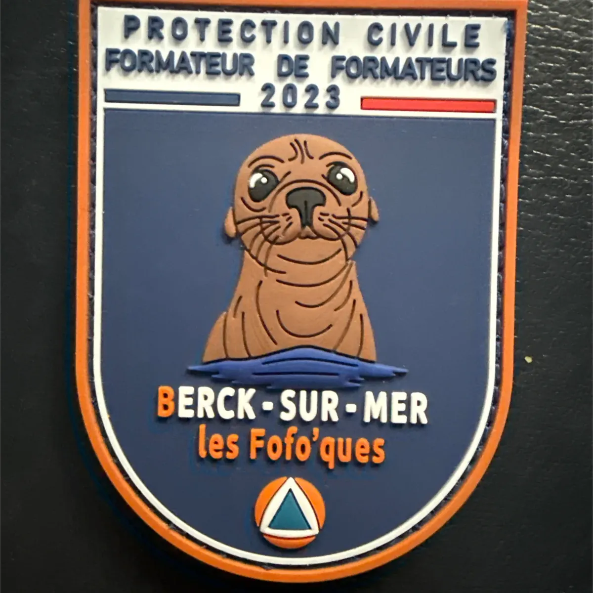 Protection Civile - Berck-sur-mer - Formateur de Formateur 2023