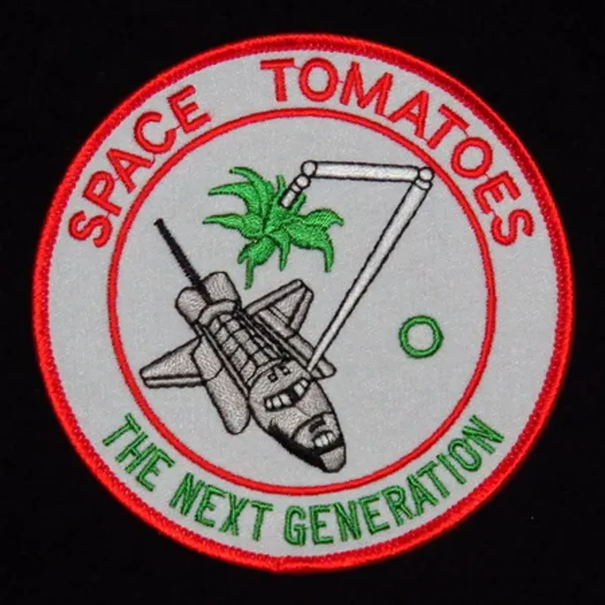 STS-32 Space tomatoes