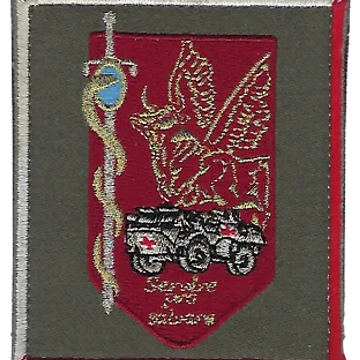 SSA : Régiment Médical Félin type 1 810ème HMC