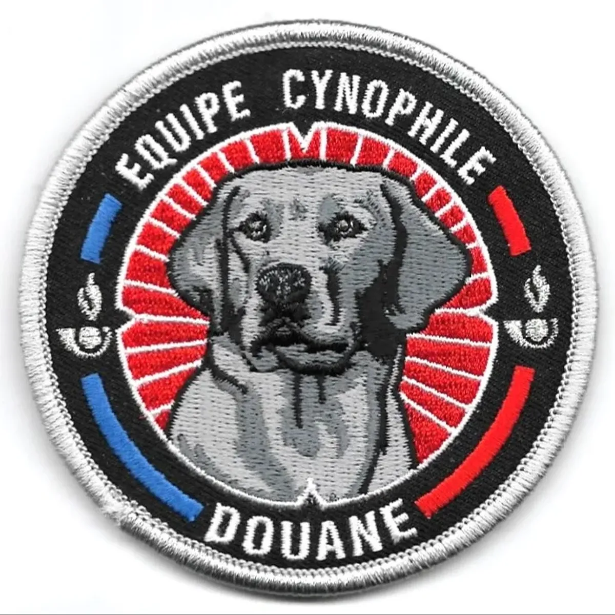 Douane - équipe cynophile -Labrador Noir 