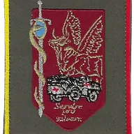 SSA : Régiment Médical Félin type 1 1ère NRBC