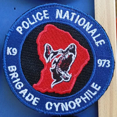 K9 - 973 - Brigade Cynophile