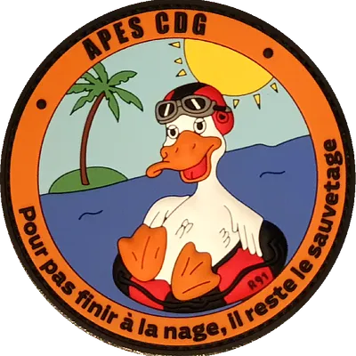 Charles de Gaulle - APES