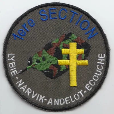 Groupe d'Escadrons 501° Régiment de Chars de Combat - 1° Compagnie - 2° Section