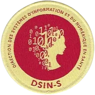 SSA : Direction des Systèmes d'Information et du Numérique - Santé DSIN-S