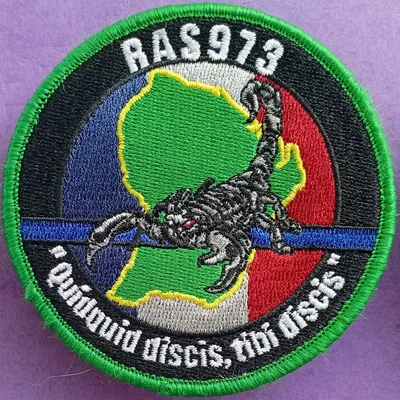 RAS973 - Quidquid discis, tibi discis 