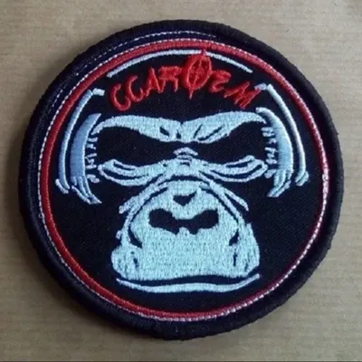 BARKHANE / CCAROEM