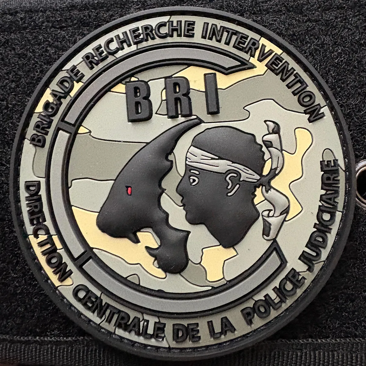 Police Nationale - BRI Corse (Camouflage)