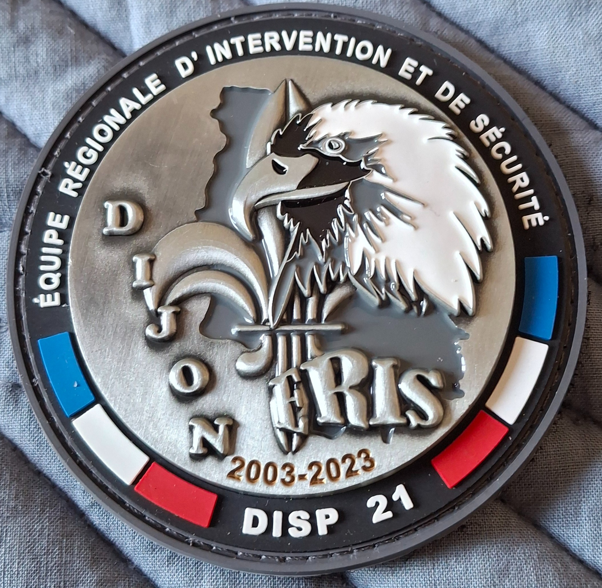 ERIS - Dijon - 20 ans 