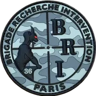 BRI Camo Gris